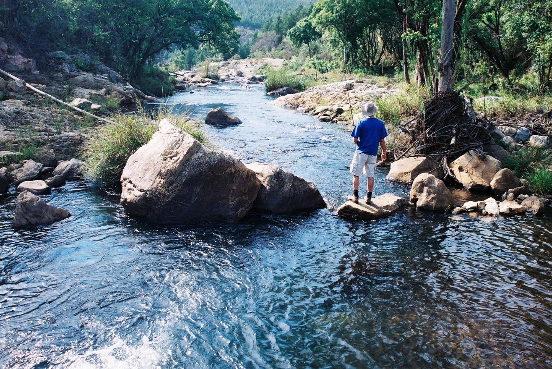 Magoebaskloof Hotel Tzaneen Ngoại thất bức ảnh